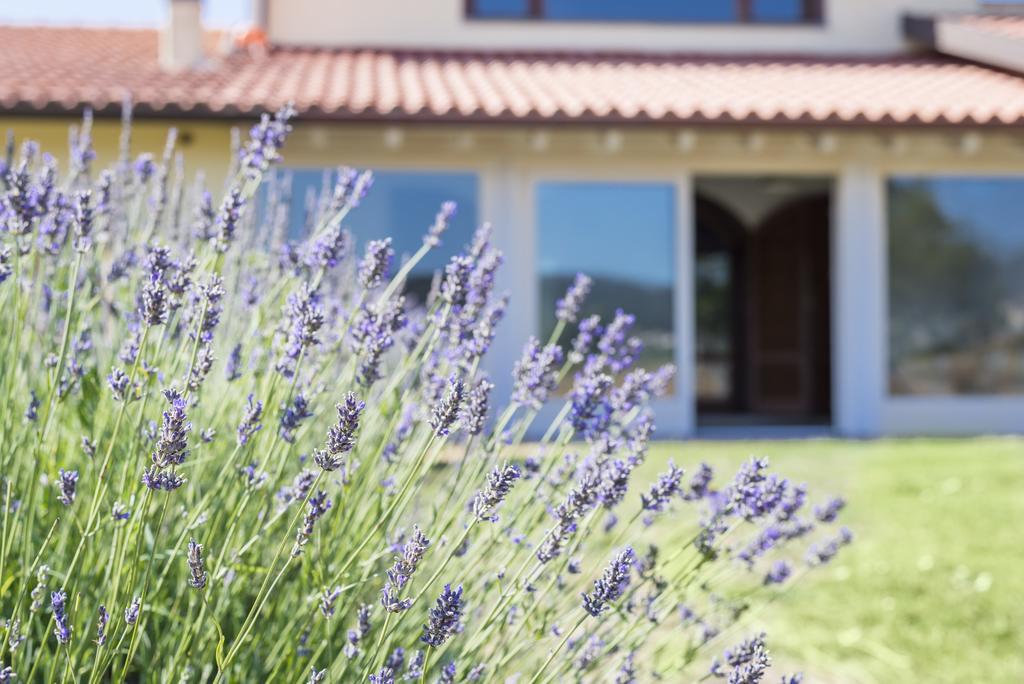 Agriturismo Terre Di Castiglione Castiglione della Pescaia Ngoại thất bức ảnh