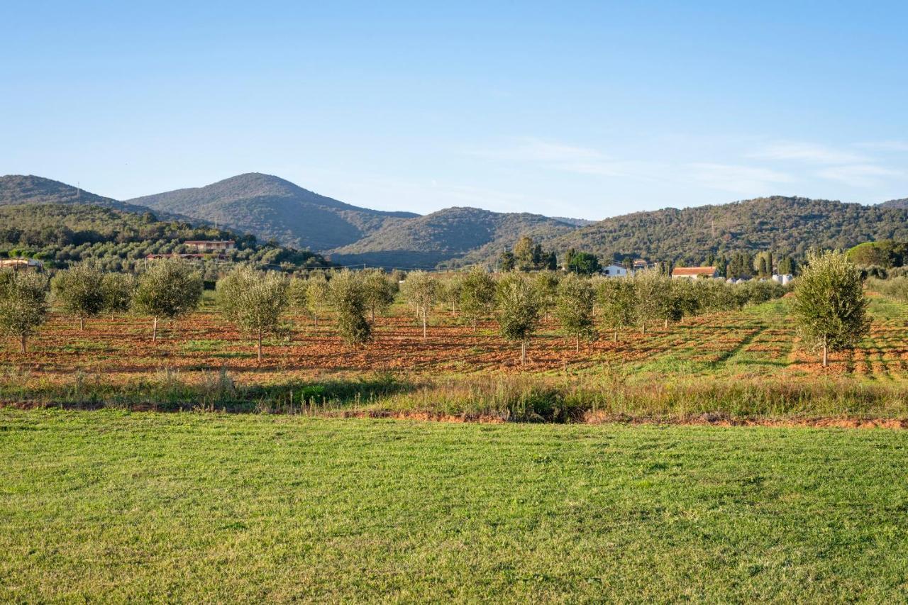 Agriturismo Terre Di Castiglione Castiglione della Pescaia Ngoại thất bức ảnh