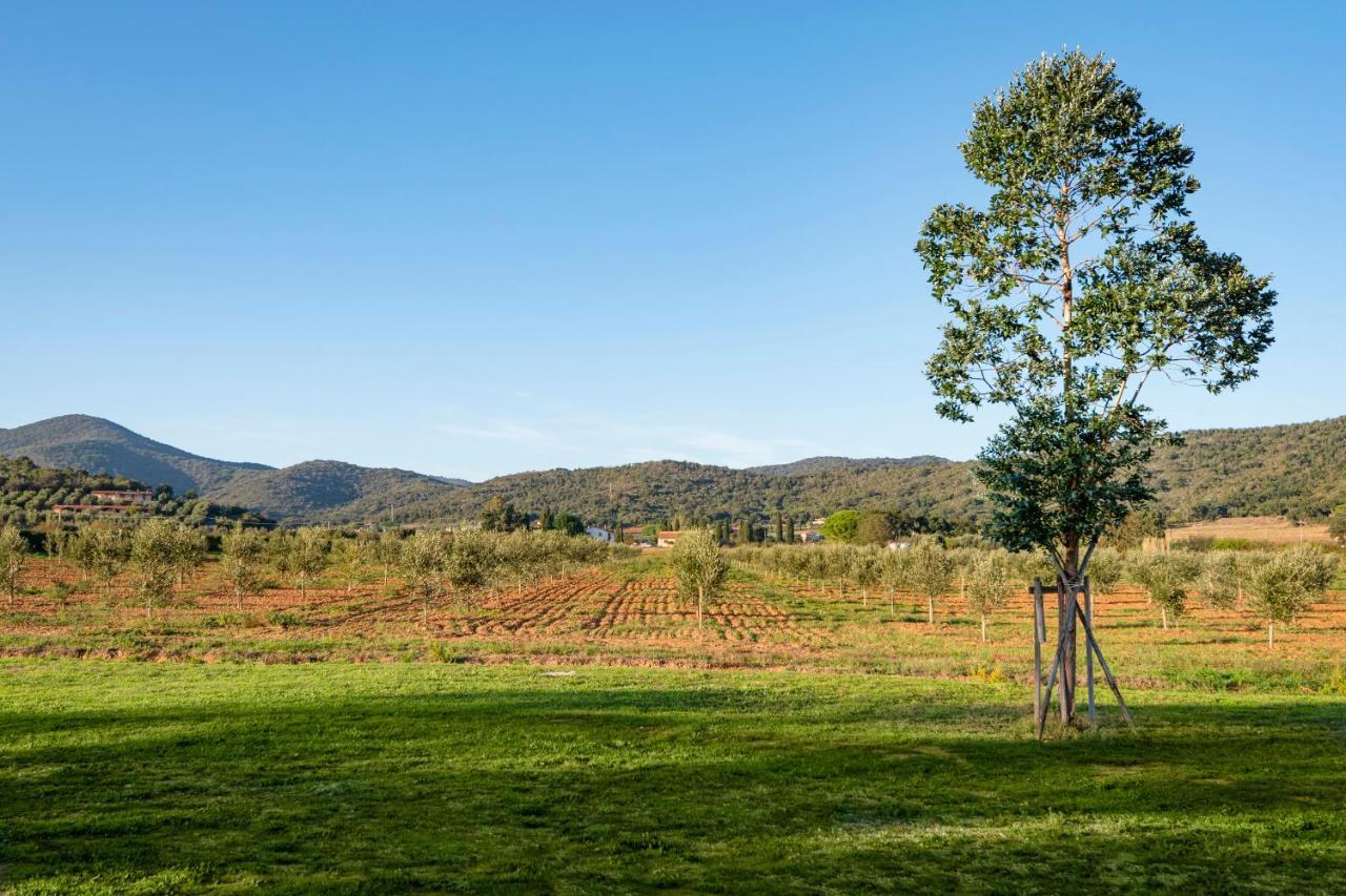 Agriturismo Terre Di Castiglione Castiglione della Pescaia Ngoại thất bức ảnh