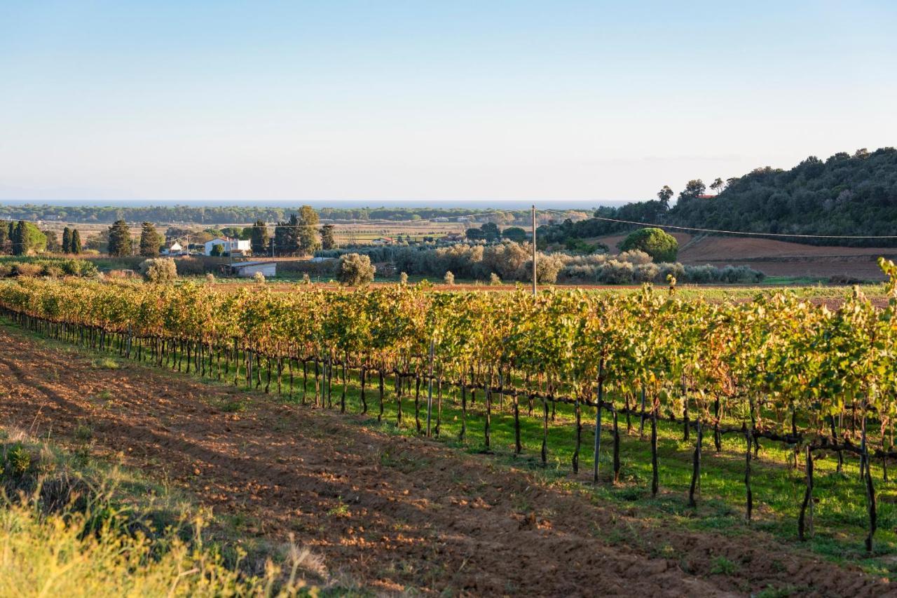 Agriturismo Terre Di Castiglione Castiglione della Pescaia Ngoại thất bức ảnh