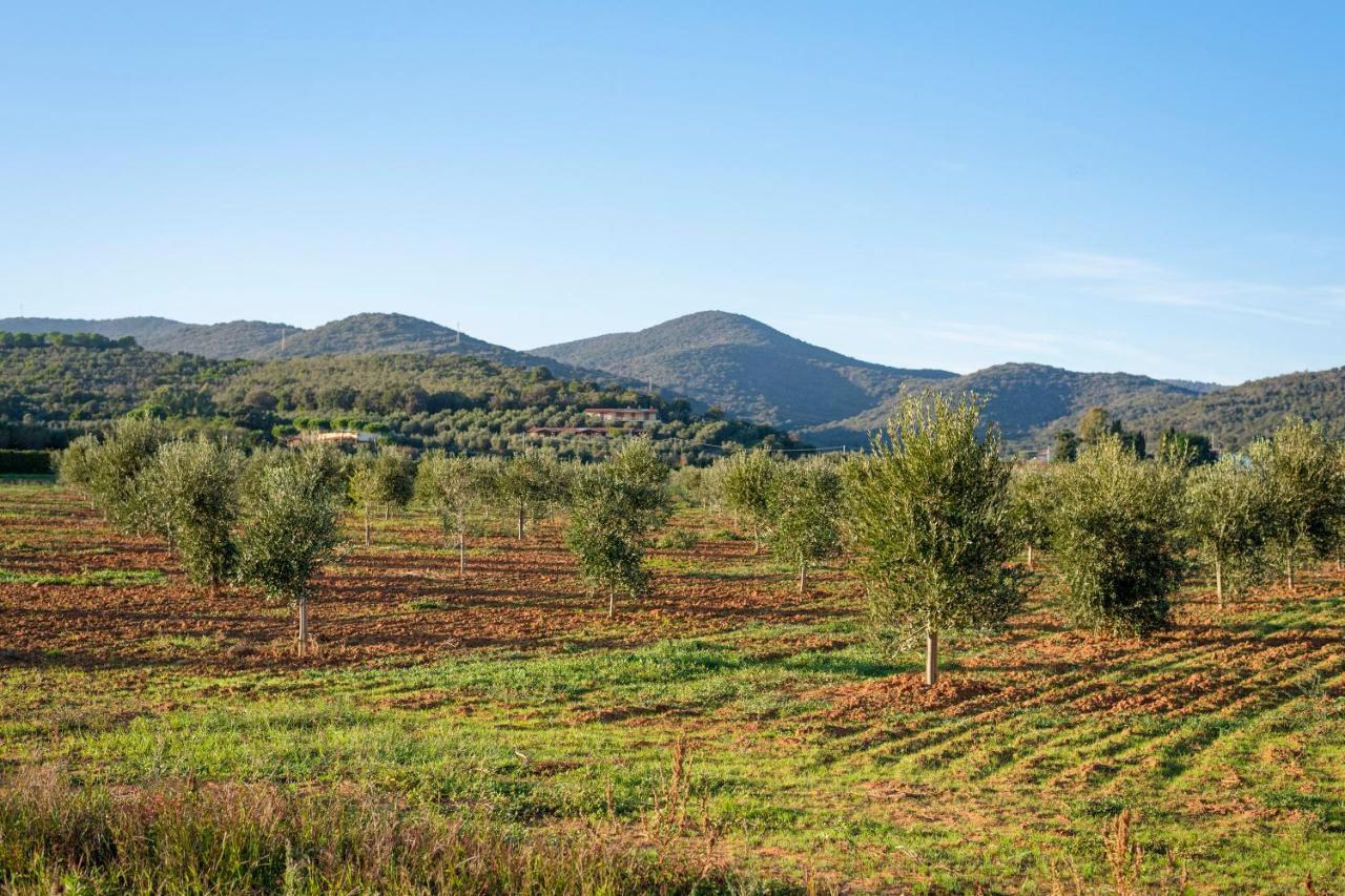 Agriturismo Terre Di Castiglione Castiglione della Pescaia Ngoại thất bức ảnh